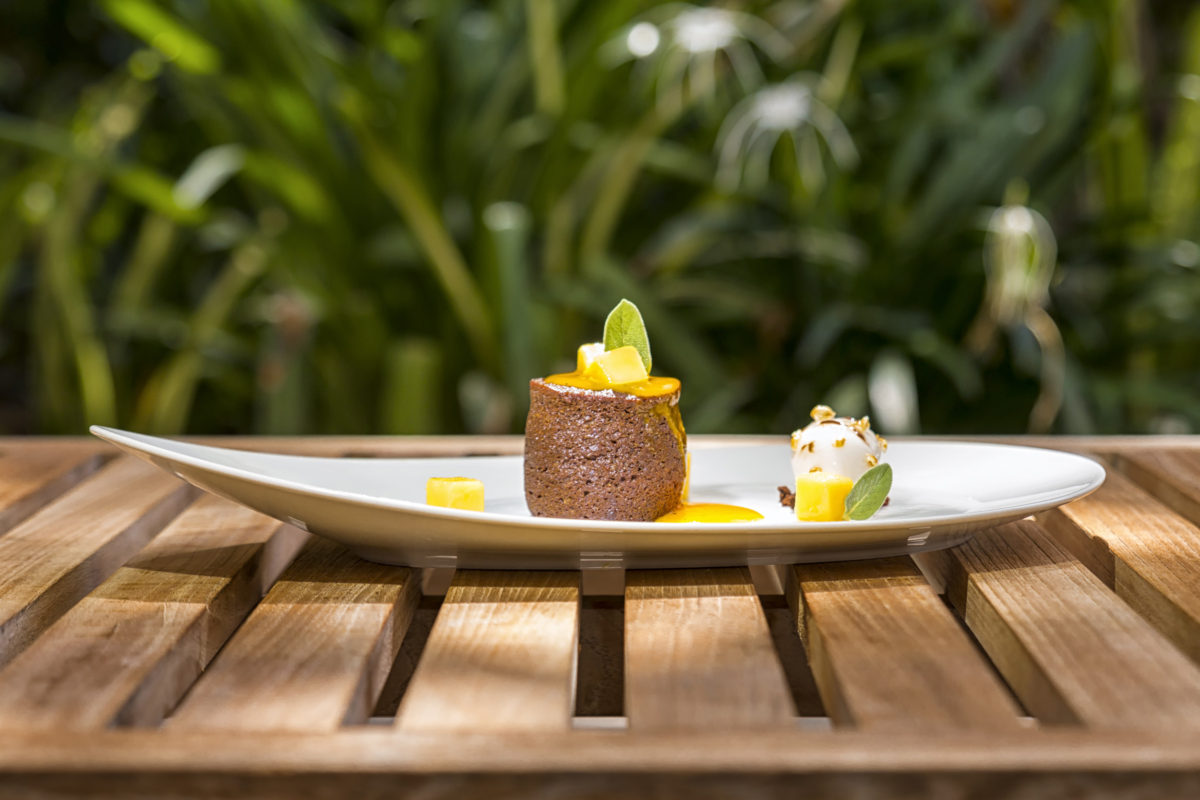 Food Photography - Chocolate Mango Cake